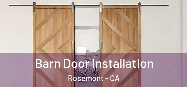  Barn Door Installation Rosemont - CA