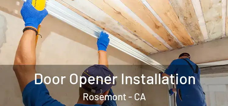  Door Opener Installation Rosemont - CA