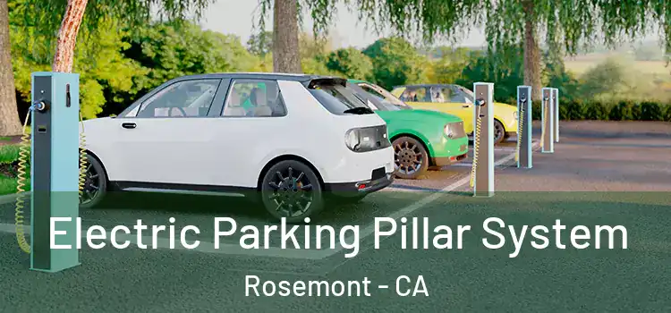  Electric Parking Pillar System Rosemont - CA