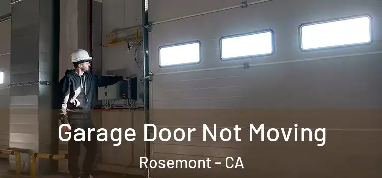  Garage Door Not Moving Rosemont - CA