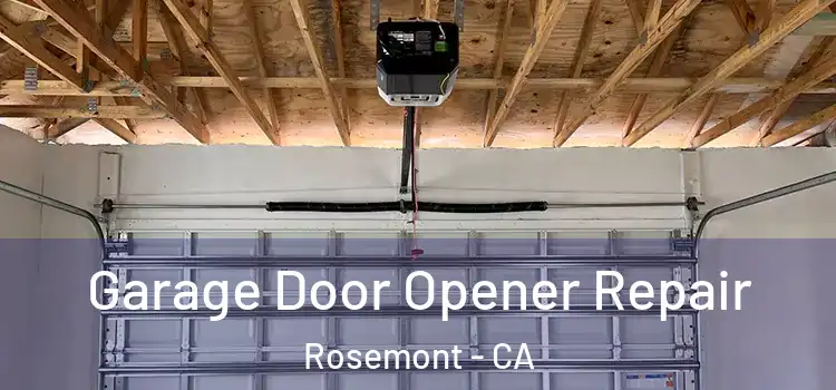  Garage Door Opener Repair Rosemont - CA