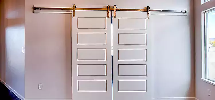 Glass Barn Door with Installation Hardware Kit Rosemont