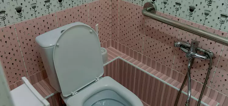 Meeting Diverse Needs With Accessible Restroom Solutions in Rosemont, CA