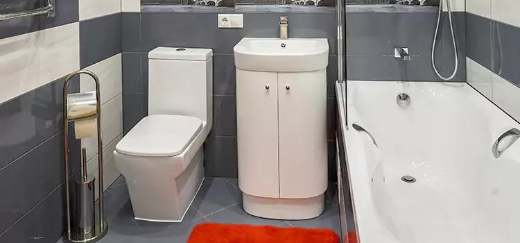 Hansgrohe Shaving Mirror Rosemont