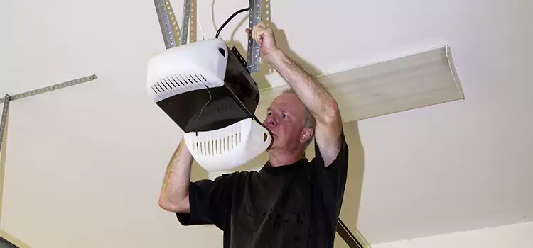 Garage Door Opener Service Rosemont