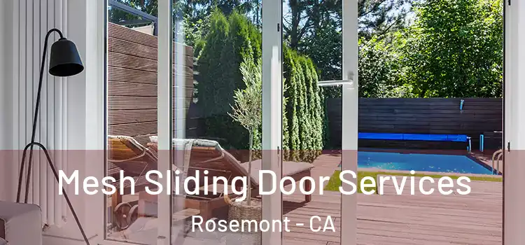  Mesh Sliding Door Services Rosemont - CA