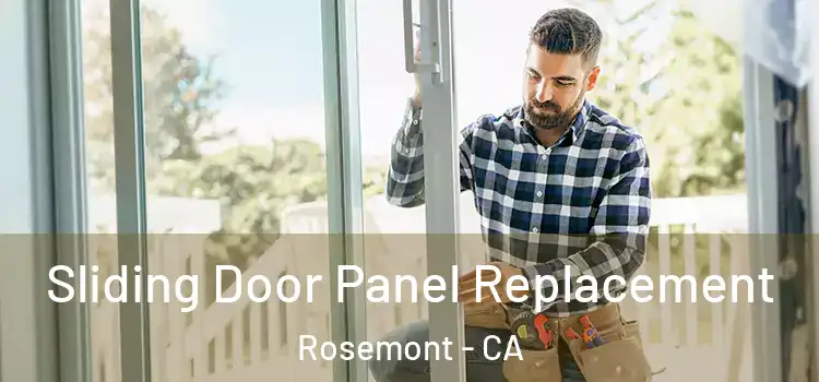  Sliding Door Panel Replacement Rosemont - CA